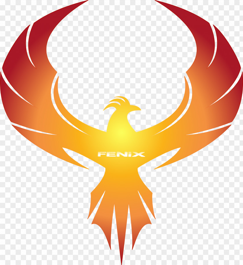 Phoenix Information Clip Art PNG