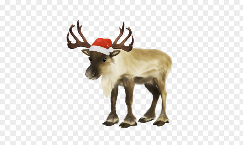 Santa Claus Reindeer Christmas Clip Art PNG