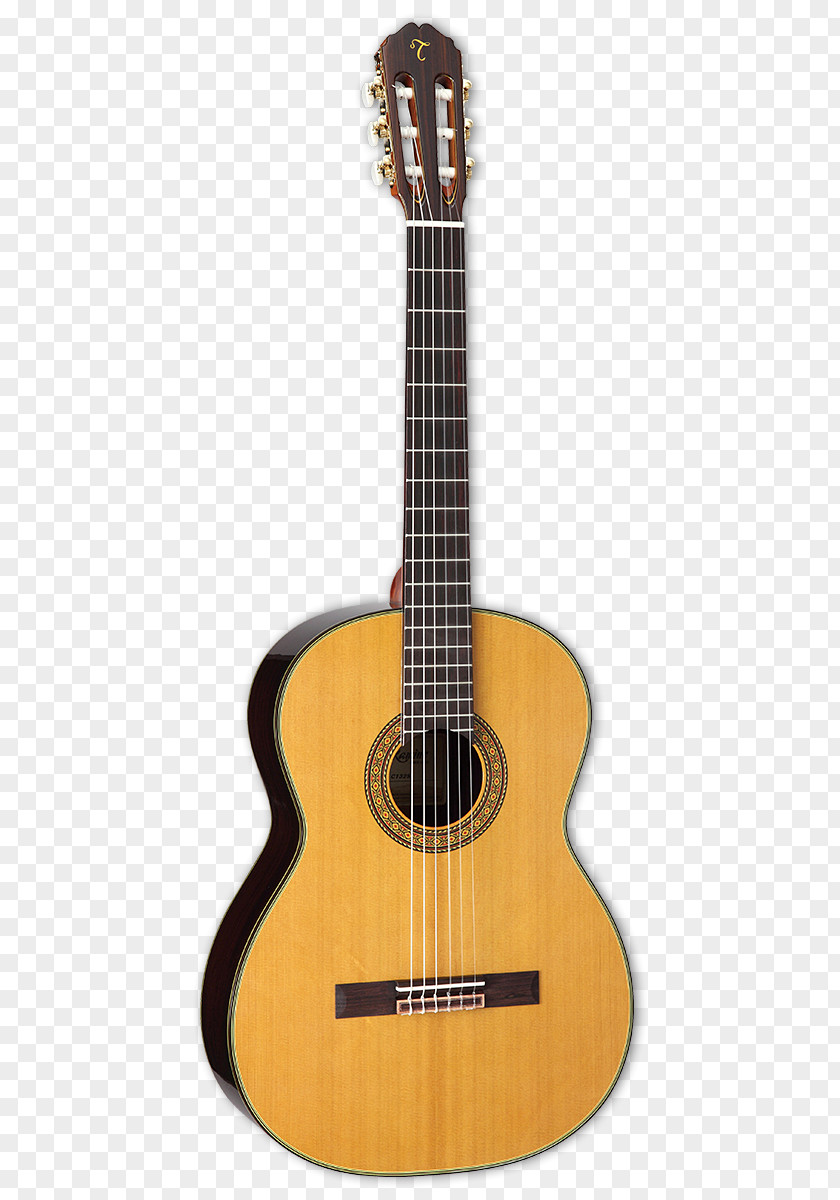 Takamine Acoustic Guitar Classical Steel-string Alhambra PNG