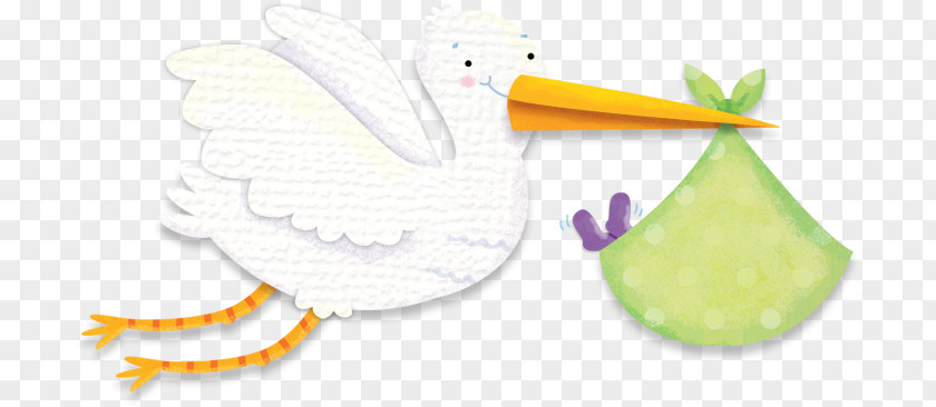 Baby Stork Gifts Feather Product Design Line PNG
