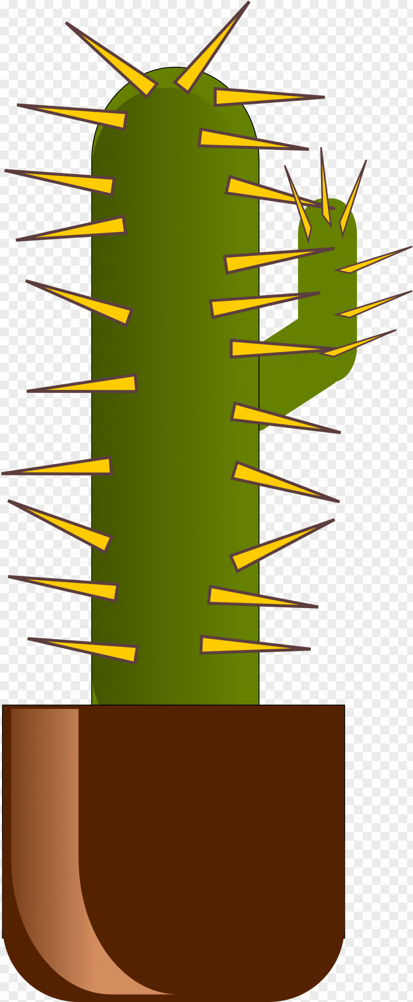 Cactus Cactaceae Succulent Plant Desert PNG