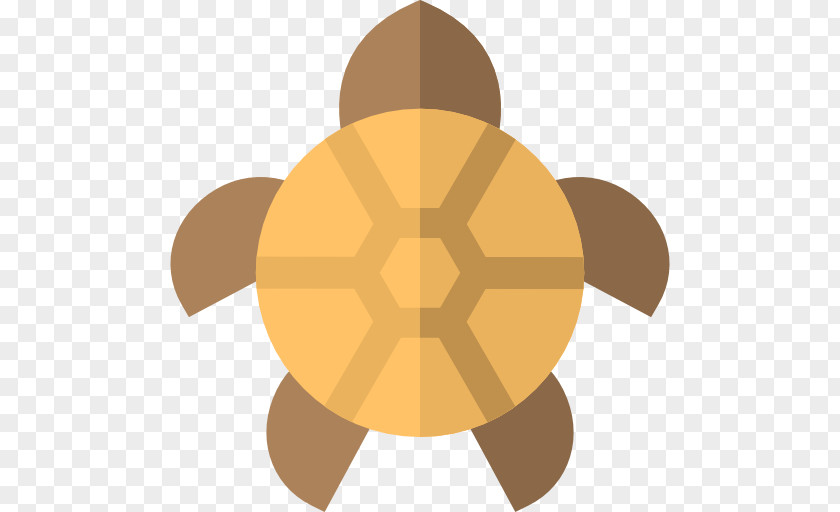 Design Tortoise Clip Art PNG