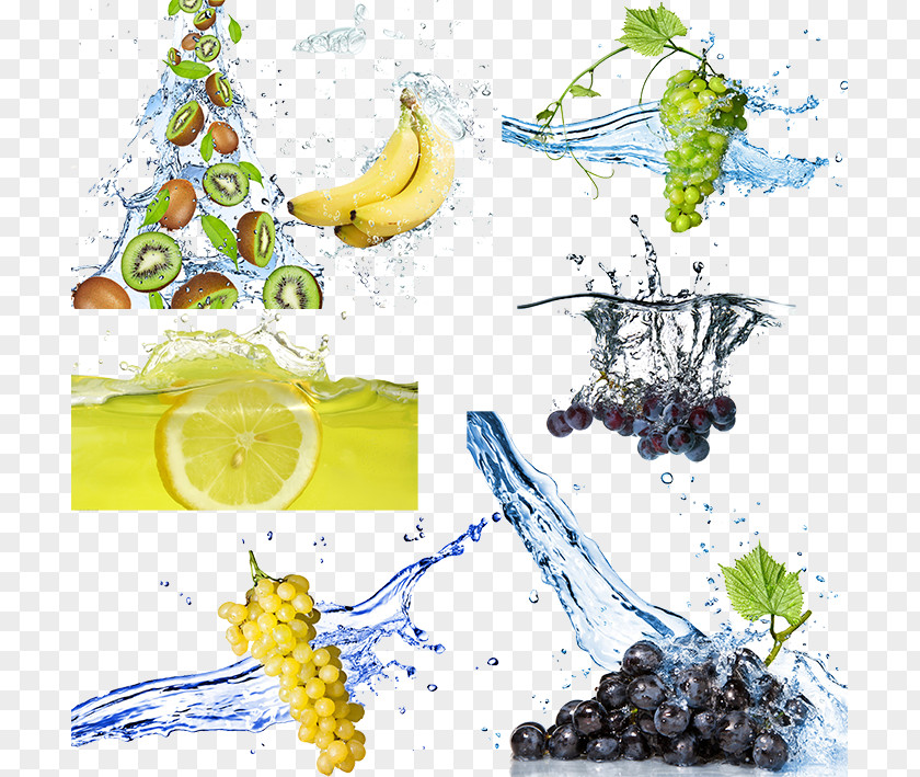 Fruit In Water Grape Stock Photography PNG