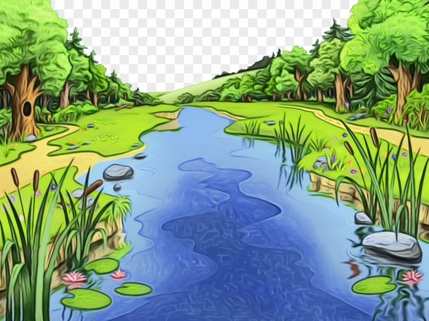 Natural Environment Wetland Landscape Nature Water Resources Vegetation PNG