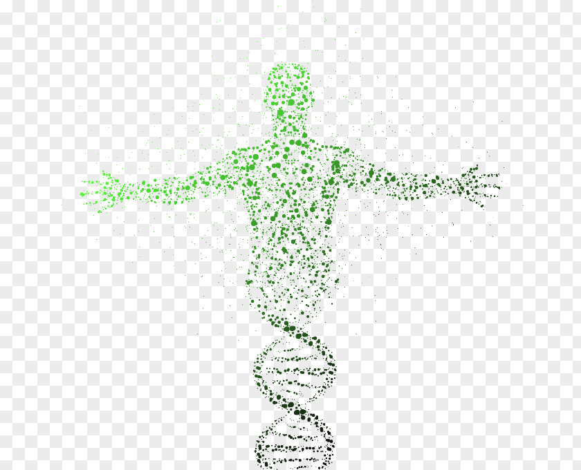 Biology DNA Sequencing Genome Genealogical Test Genetics PNG