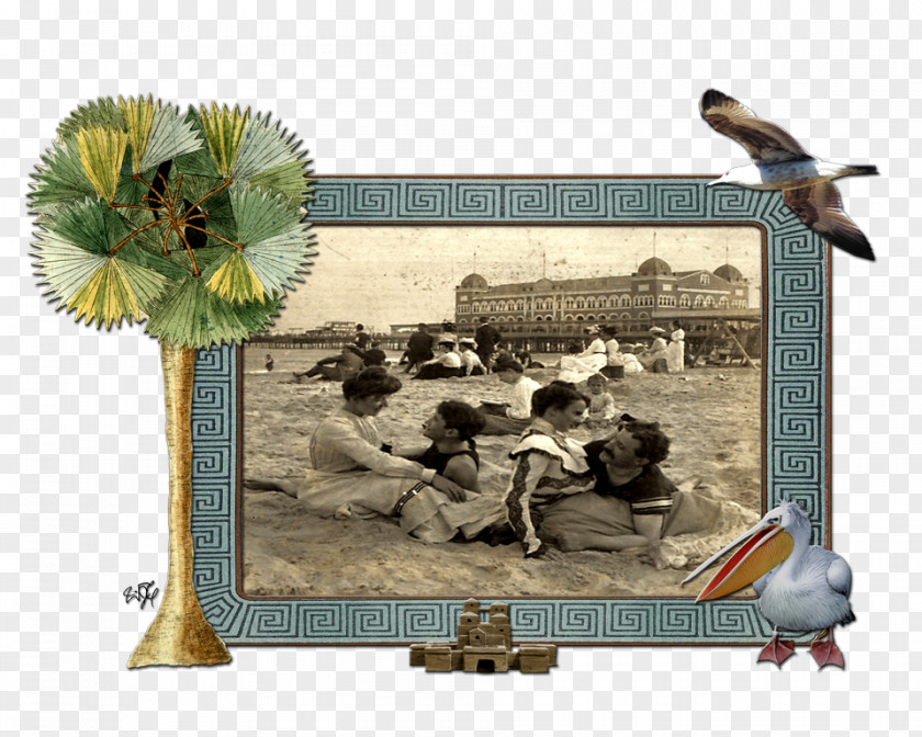 Bird Picture Frames Water PNG