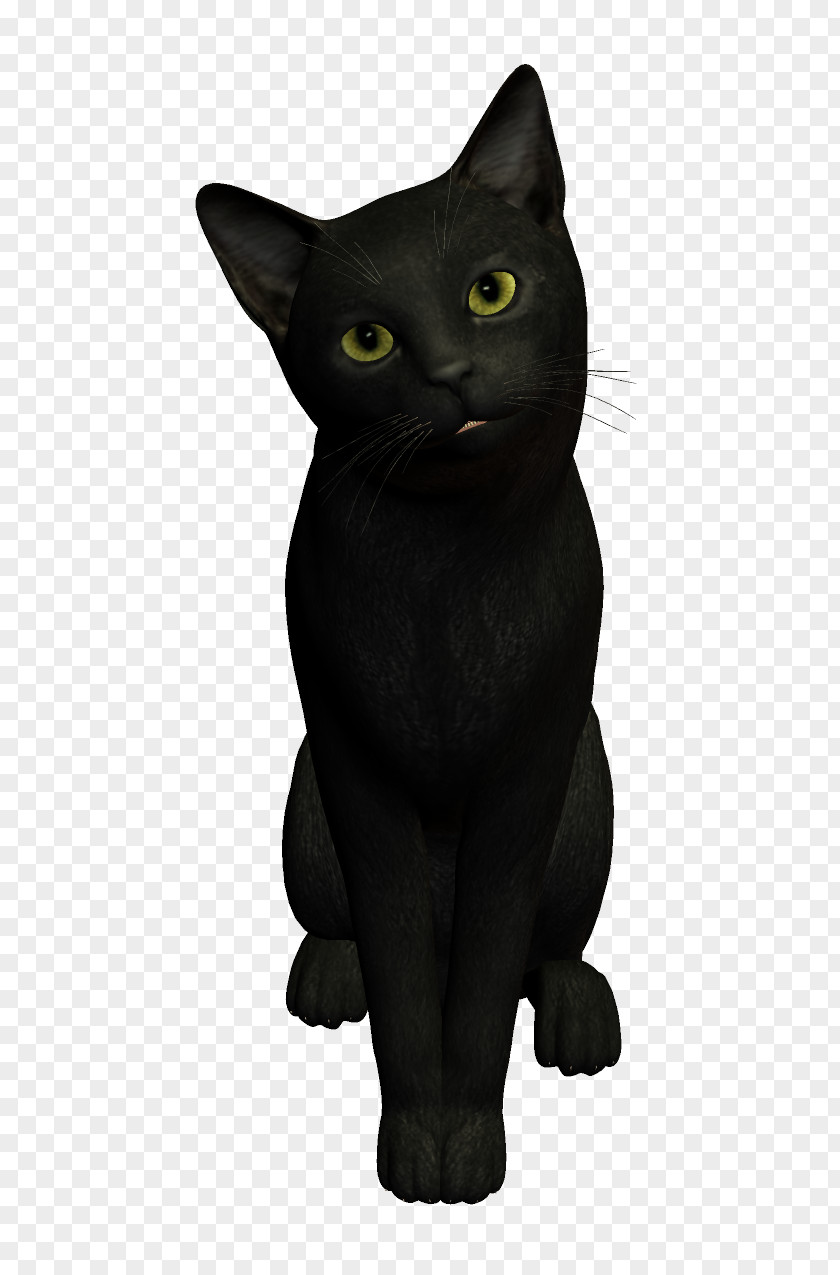 Meng Cat Black Dog PNG