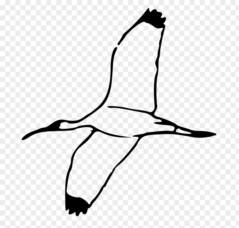 Birds Flying Clipart Ibis Clip Art PNG