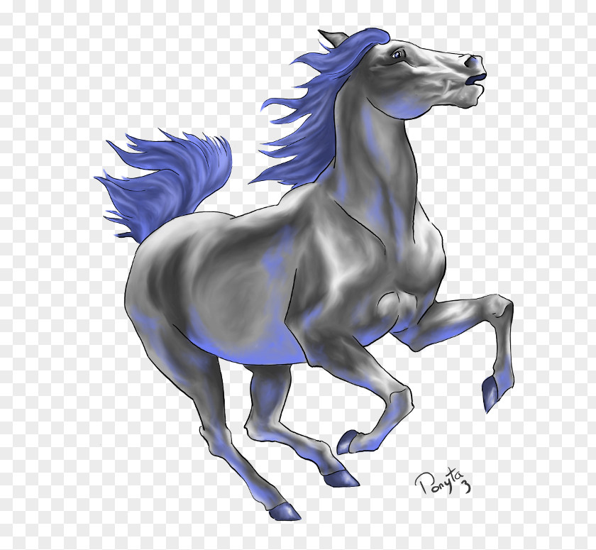 Drawing Mustang Stallion Birthday PNG