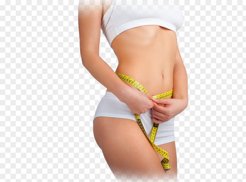 Woman Adipose Tissue Weight Loss Cellulite Human Body Waist PNG