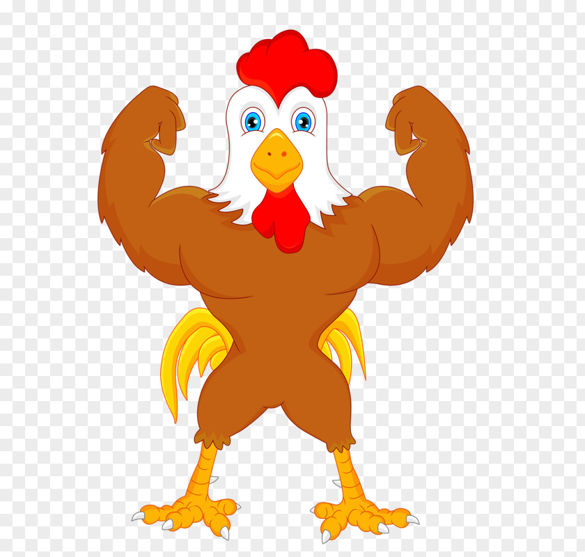 Bodybuilding Cock Chicken Cartoon Rooster Illustration PNG