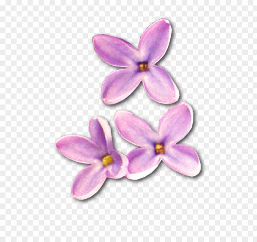 Download Lilac Clip Art PNG