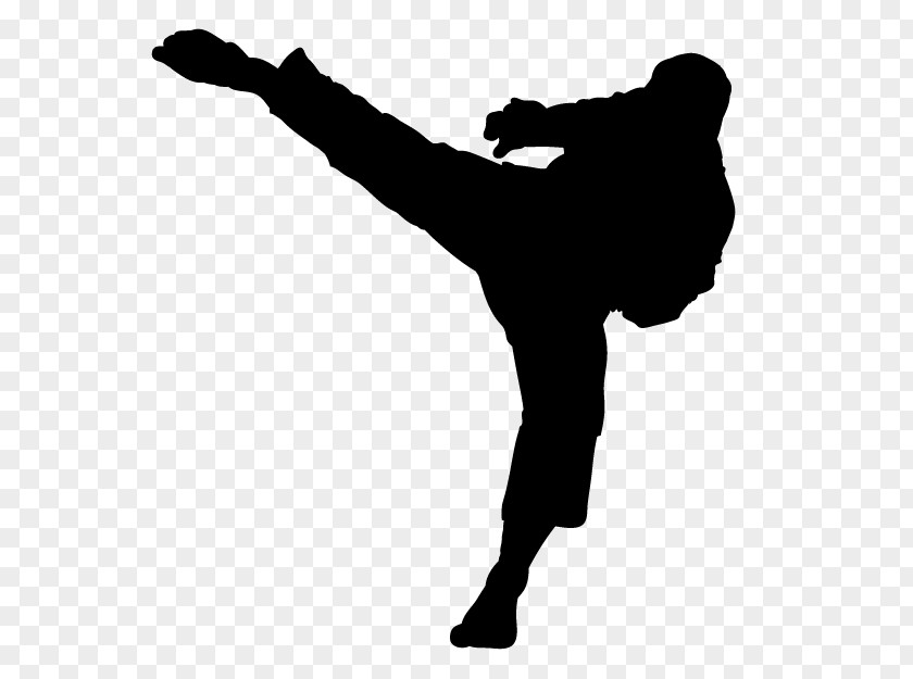 Karate Japan Federation Kumite Kyokushin Kick PNG