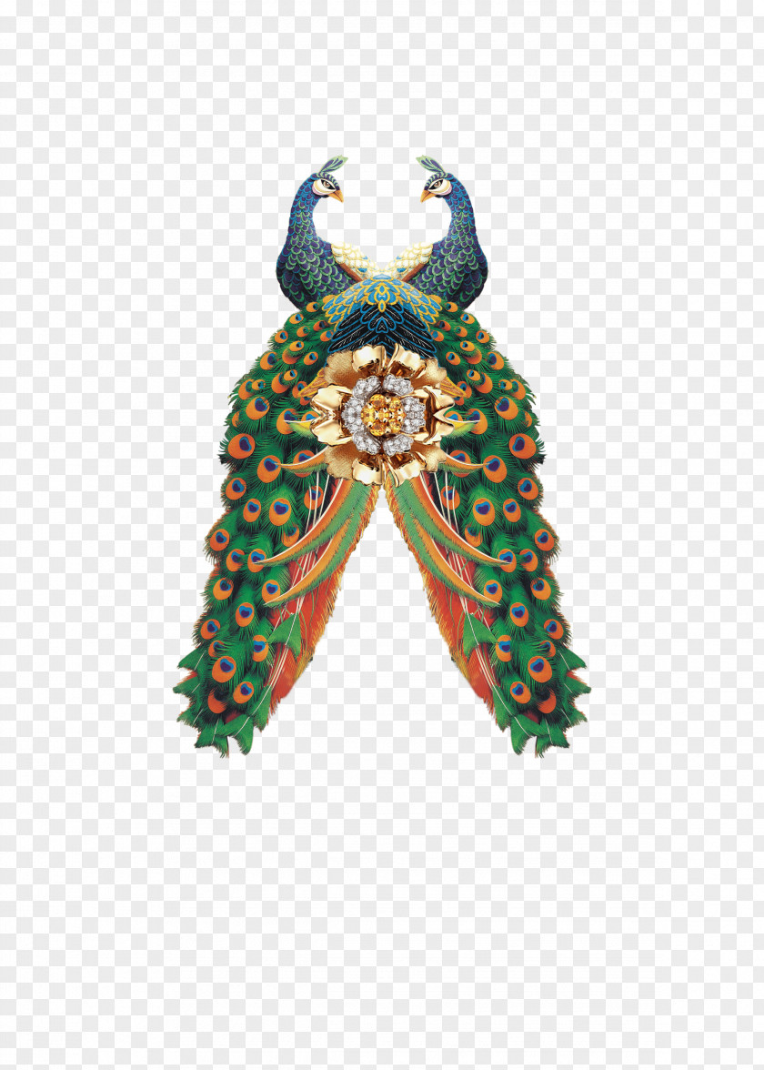 Peacock Peafowl Illustration PNG