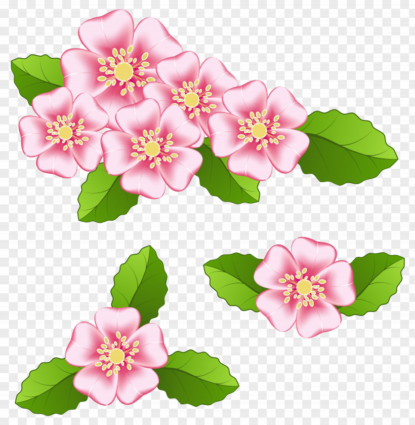 Pink Flowers Transparent Clip Art Image File Formats Raster Graphics Computer PNG