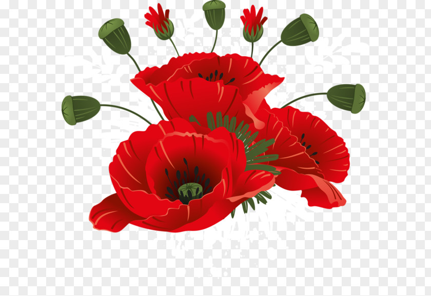 Remembrance And Reconciliation Day Ukraine Daytime Poppy Clip Art PNG
