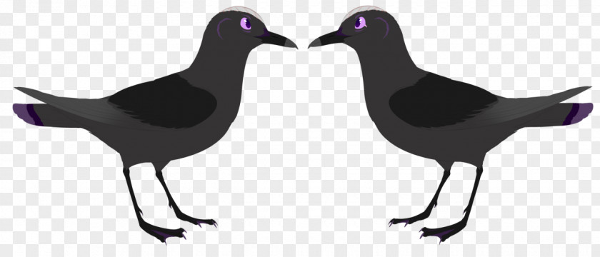 Silhouette Eurasian Magpie Beak PNG