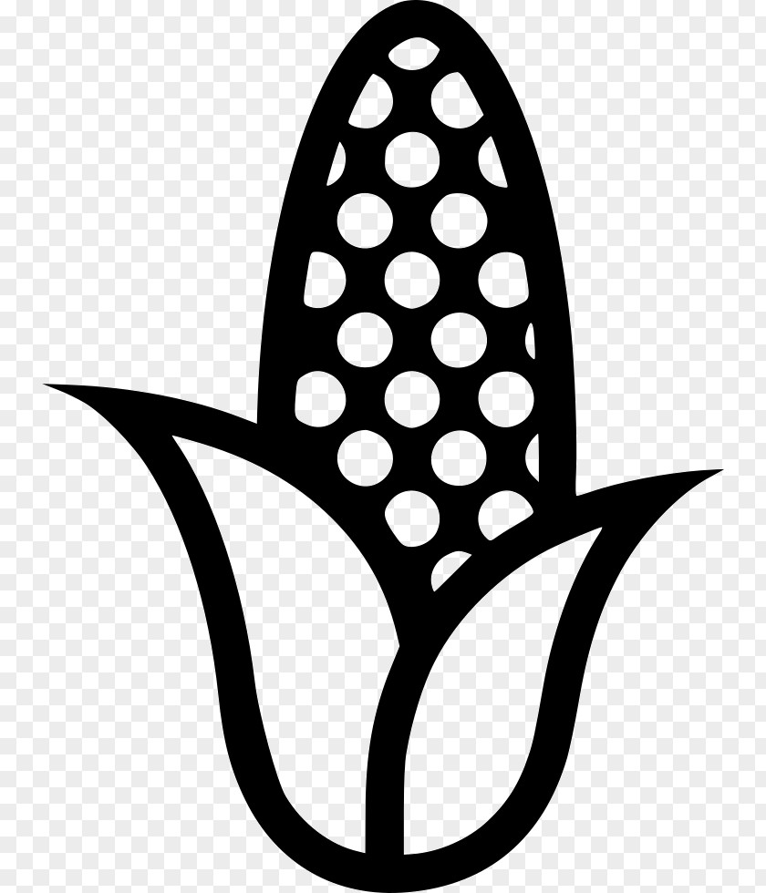 Corn Clip Art On The Cob PNG