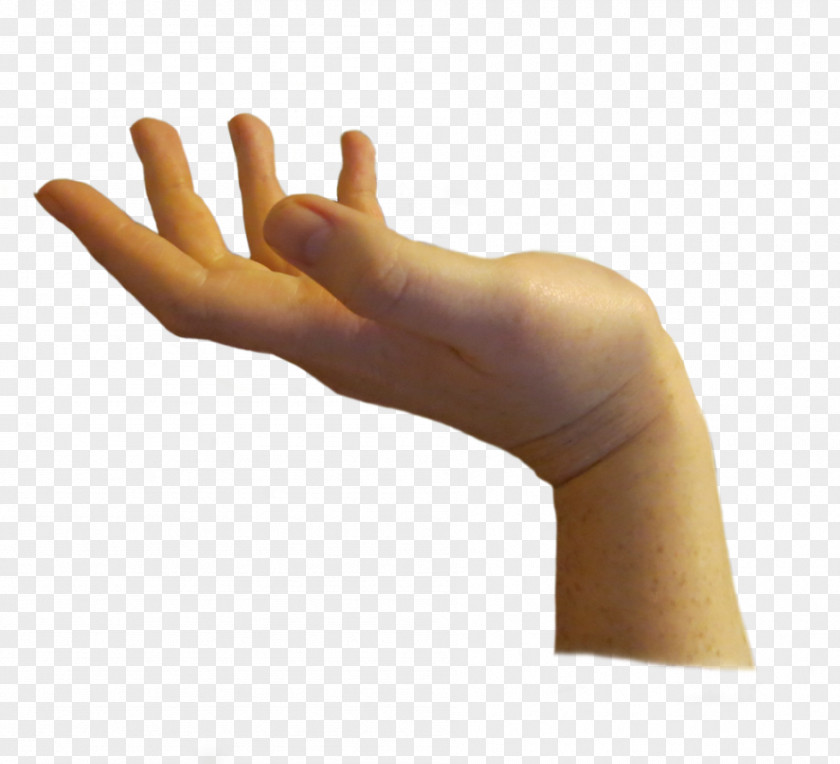 Hands , Hand Image Free Shelly Pfefferman Transparent PNG