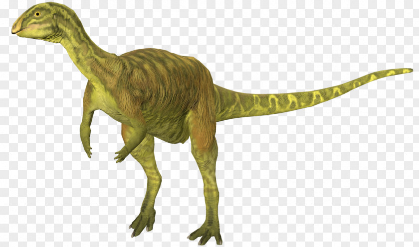 Dinosaur Dryosaurus Tyrannosaurus Velociraptor About Animals Ceratosaurus PNG