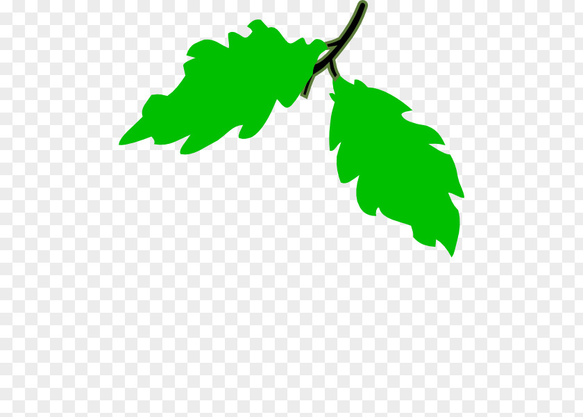 Grape Common Vine Concord Clip Art PNG