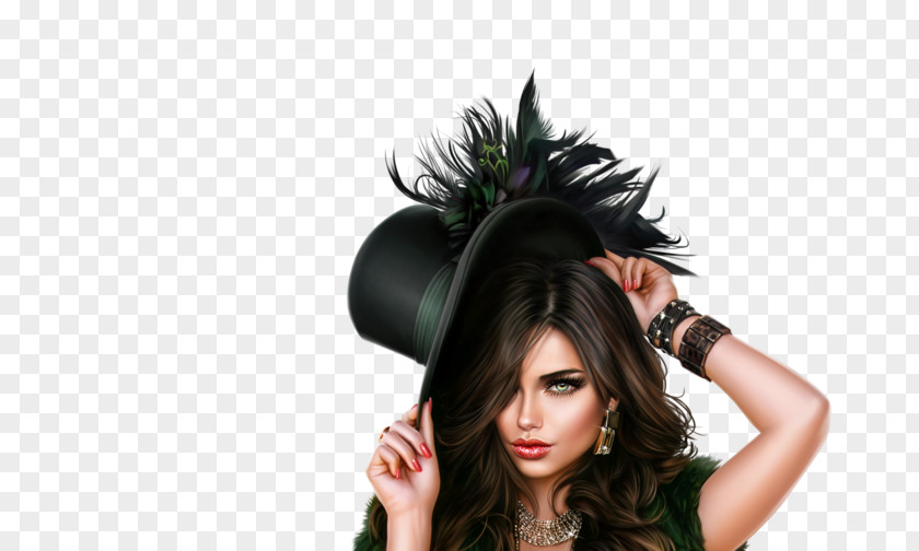 Hat Costume Accessory Hair Clothing Head Headpiece Hairstyle PNG