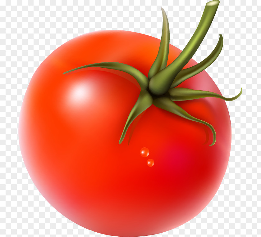 Vegetable Cherry Tomato Vegetarian Cuisine PNG