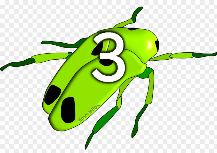 Beetle Minibeast Alphabet Phonics Cursive PNG
