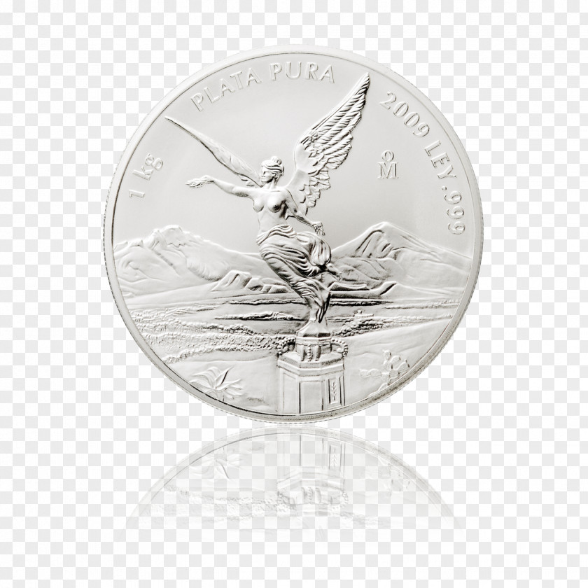 Coin Silver Nickel PNG