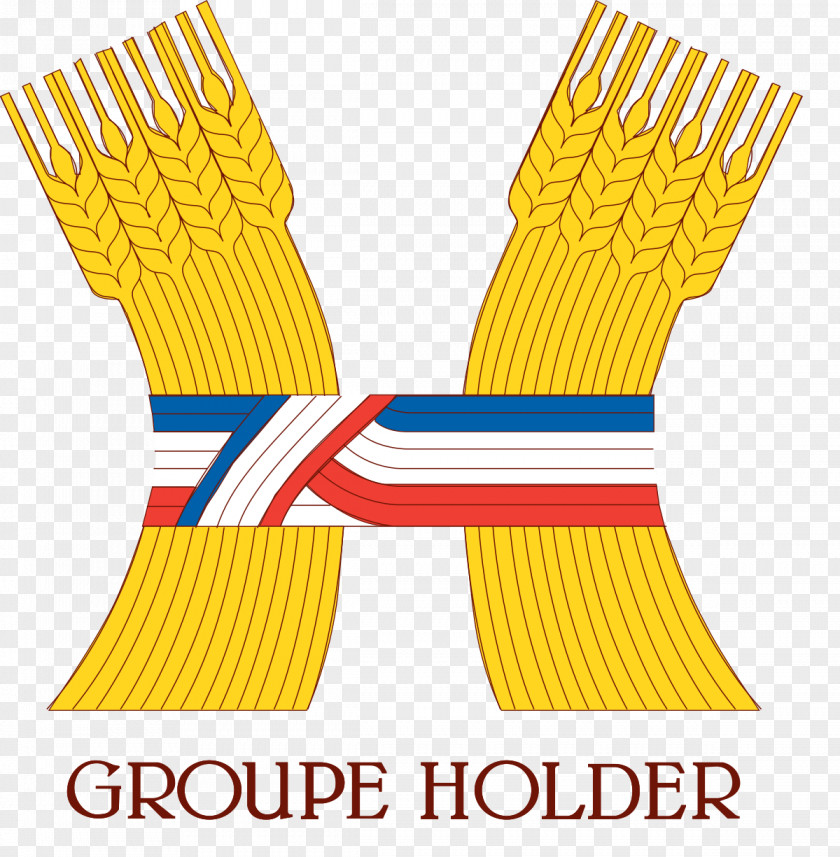 Ifh Lille Groupe Holder Logo Management Corporate Group PNG