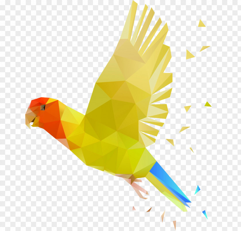 Polygon Parrot Bird PNG