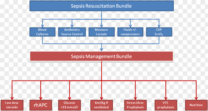 Ventilation Sepsis Six Surviving Campaign Therapy Acute Liver Failure PNG