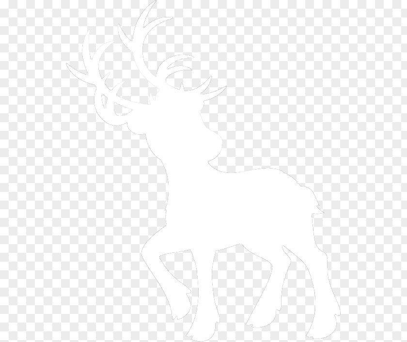 Wedding Invite Mustang /m/02csf Line Art Drawing Silhouette PNG