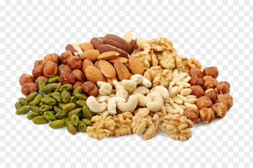 Bean Nuts Seeds Fruit Tree PNG