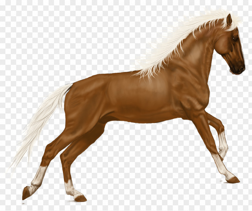 Horse Pony Clip Art Image PNG