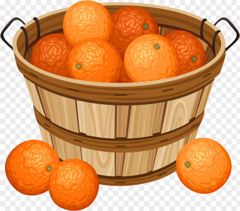 Orange Basket Drawing Clip Art PNG