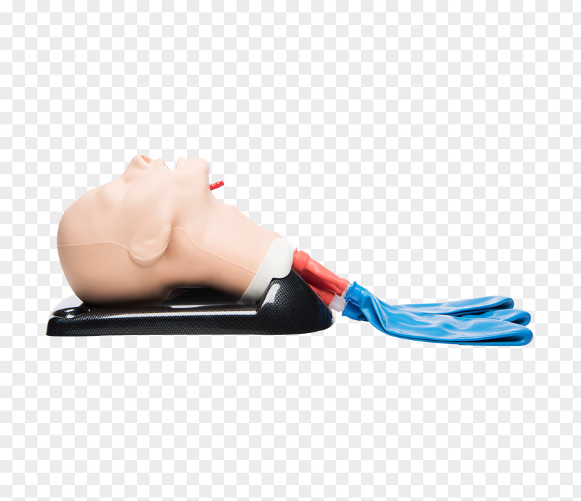 Tracheal Intubation Airway Management Mannequin Nasopharyngeal Medicine PNG