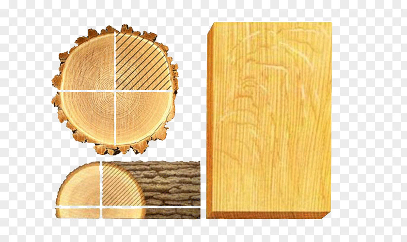 Wood /m/083vt Lumber PNG