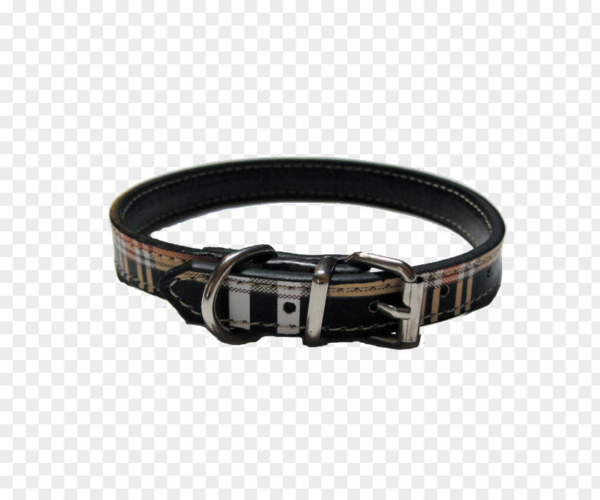 Belt Camping Idea Campervans PNG