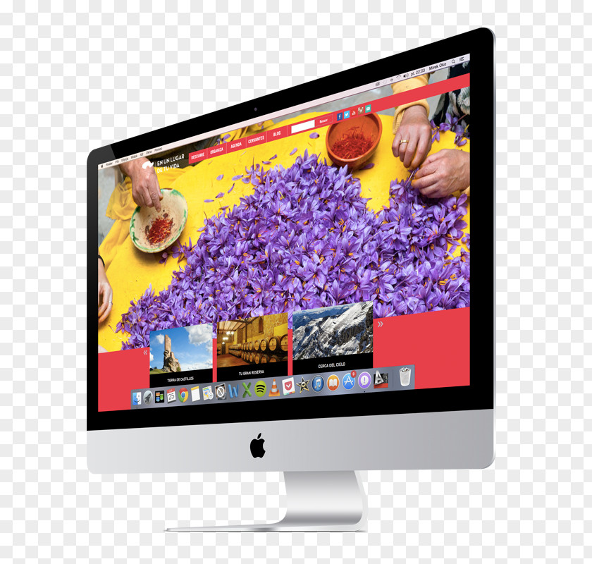 Berries Ecommerce LCD Television Web Page Computer Monitors Usability Design PNG