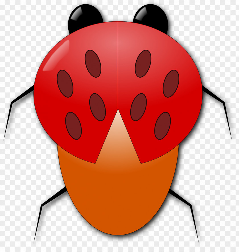 Cartoon Beetle Pixabay Ladybird Illustration PNG