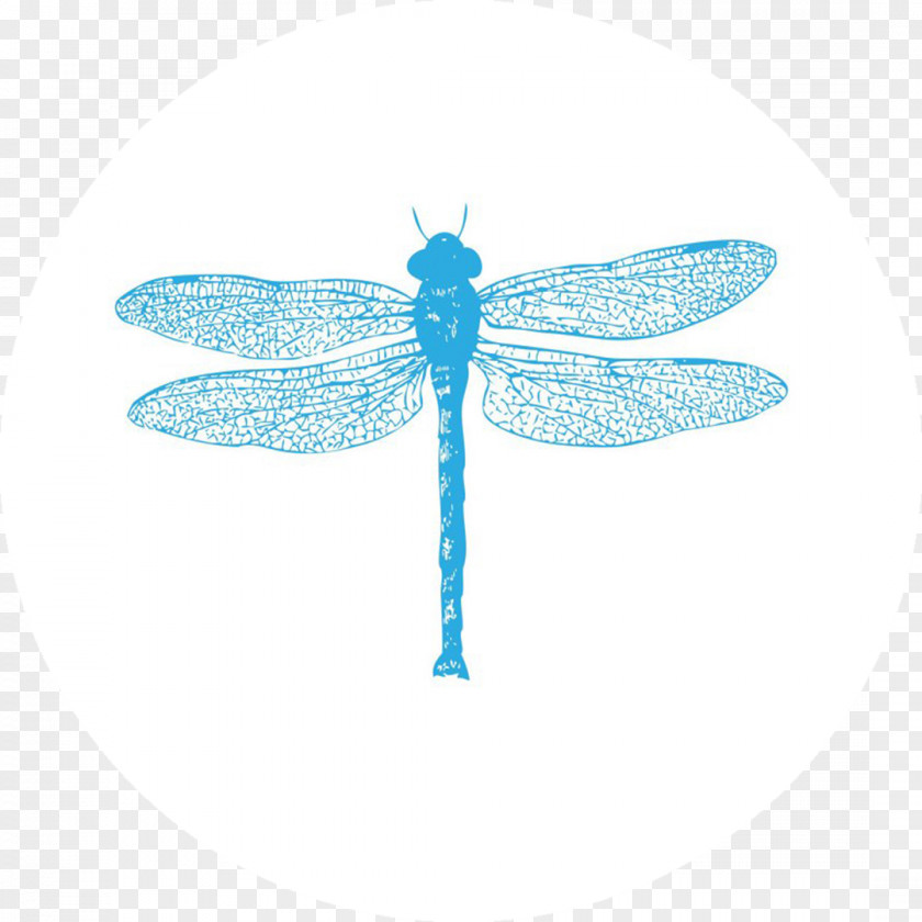 Dragonfly Insect Pillow Antique Towel PNG