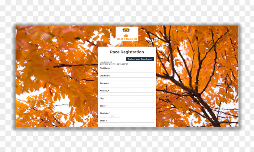 Registration Form Autumn Leaf Color Desktop Wallpaper Winter PNG