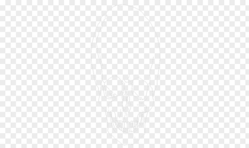 Skull 3d Nose White Jaw Sketch PNG