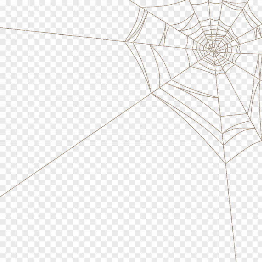 Spider Web Picture Cartoon Floor Line Structure Symmetry Pattern PNG