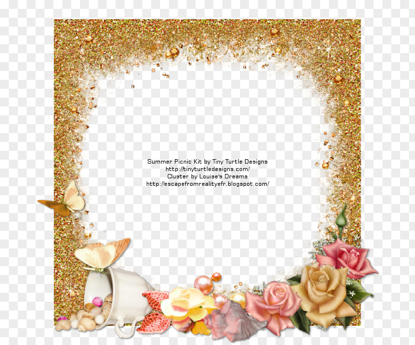 Summer Picnic Picture Frames Floral Design Reality PNG