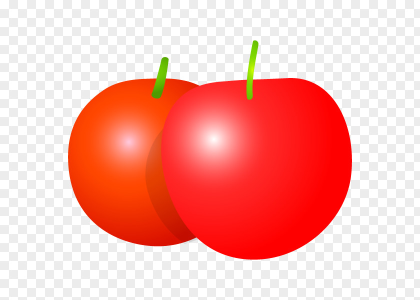 Tomato Natural Foods Apple RED.M PNG