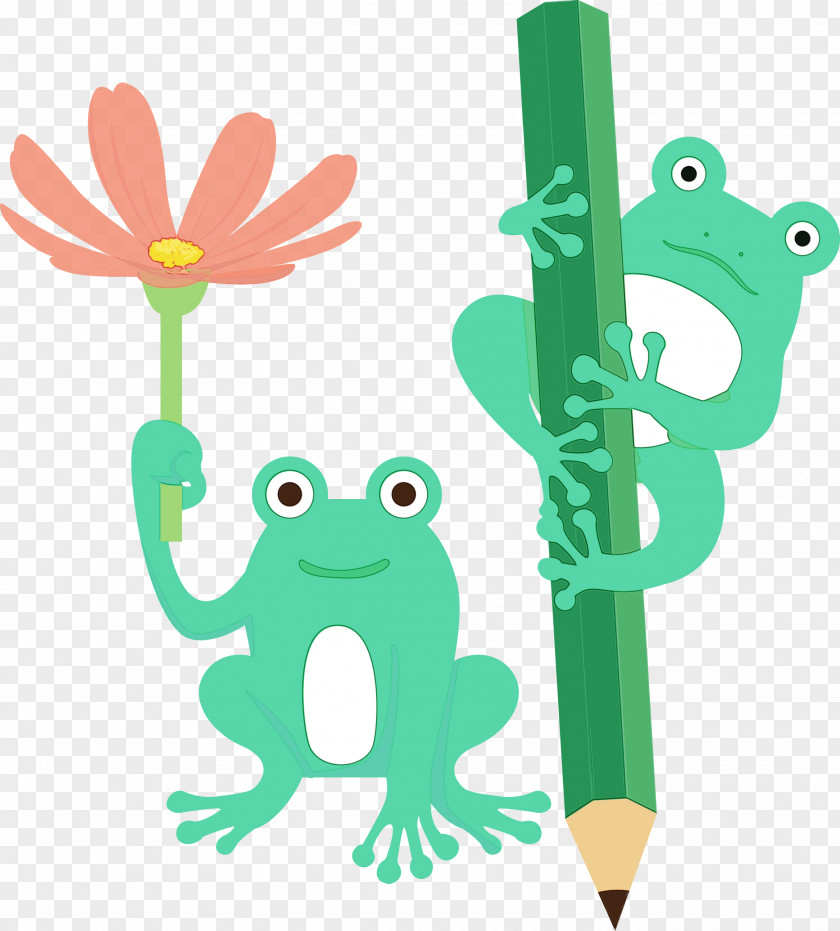 Tree Frog Cartoon Frogs Toad Meter PNG