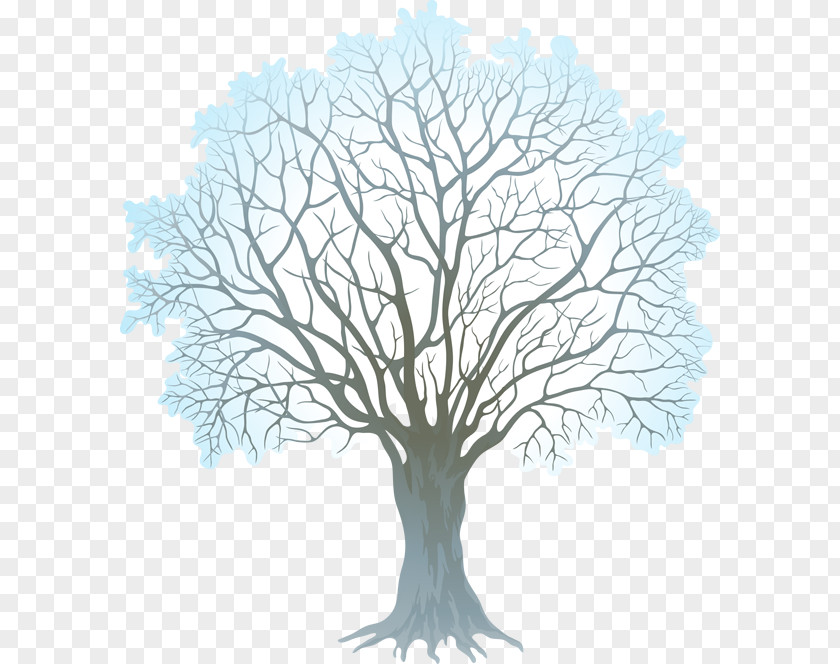 Winter Branch Cliparts Tree Clip Art PNG