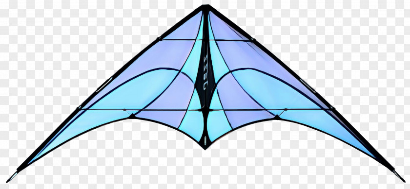 Triangle Sport Kite PNG